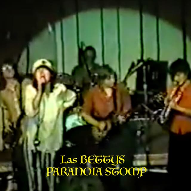 The Paranoia Stomp (Live)