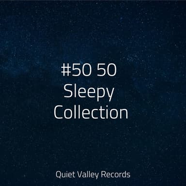 #50 50 Sleepy Collection