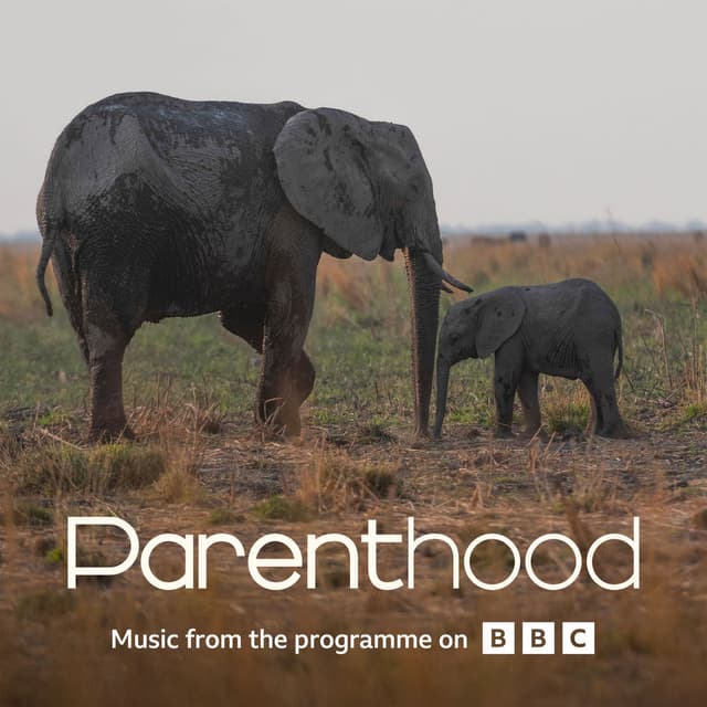 Go Steady (From BBC's Parenthood)