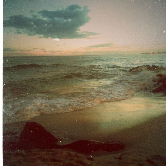 A Song from the Next Apartment