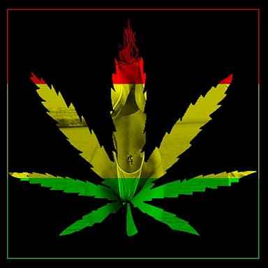 Reggae Revolution: 50 Top Reggae, Rasta, Dub 2012