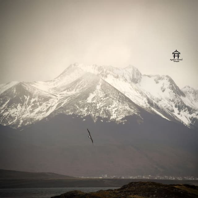 Among Mountains