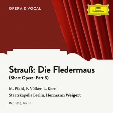 Die Fledermaus (short version) : J. Strauss II: Die Fledermaus (short version) - Part 3