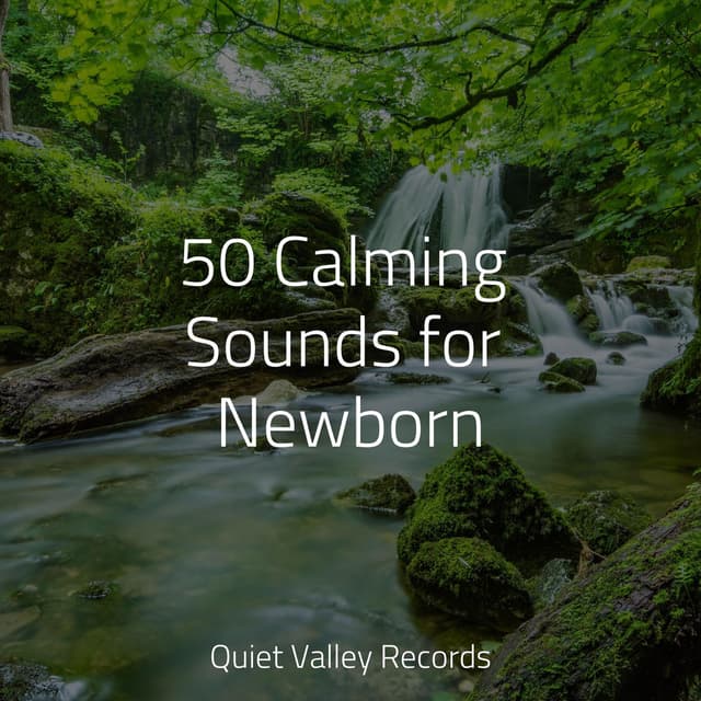 50 Calming Sounds for Newborn