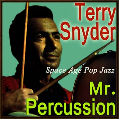 Space Age Pop Jazz, Mr. Percussion