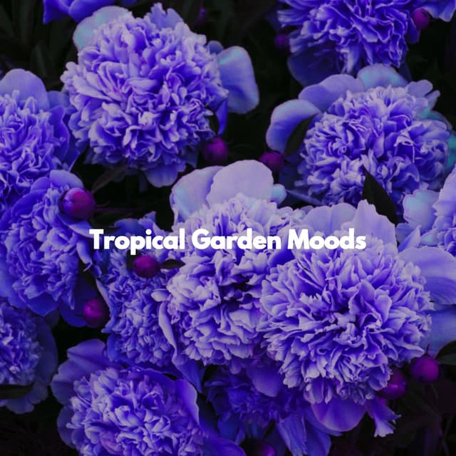 Tropical Garden Moods