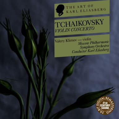 Violin Concerto in D Major, Op. 35: II. Canzionetta. Andante