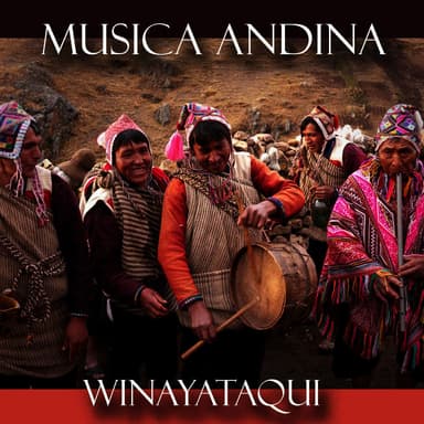 Musica Andina - Winayataqui