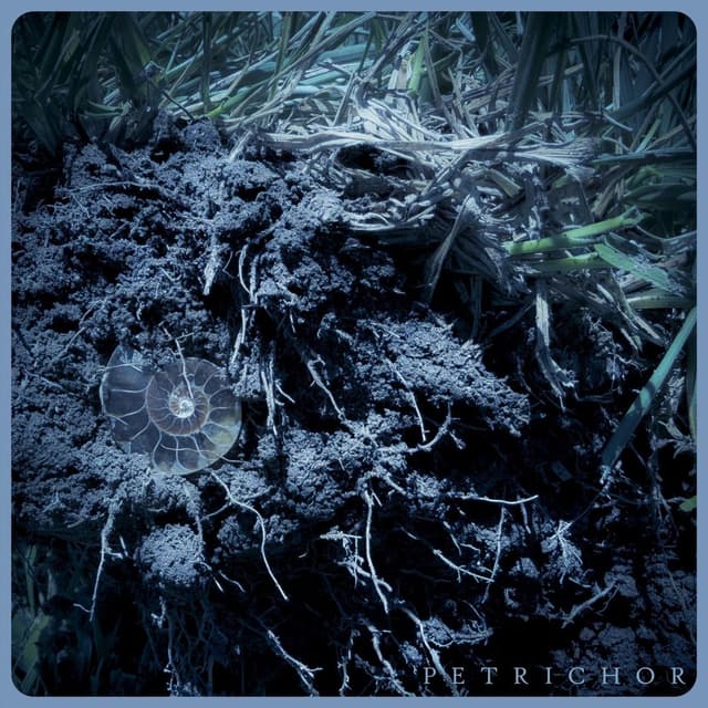 Petrichor