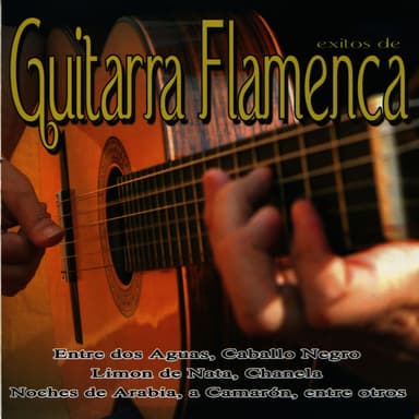 Exitos de Guitarra Flamenca