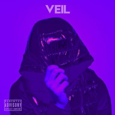 Veil
