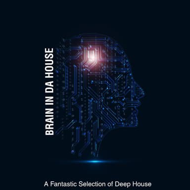 Brain in Da House - a Fantastic Selection of Deep House (Album)