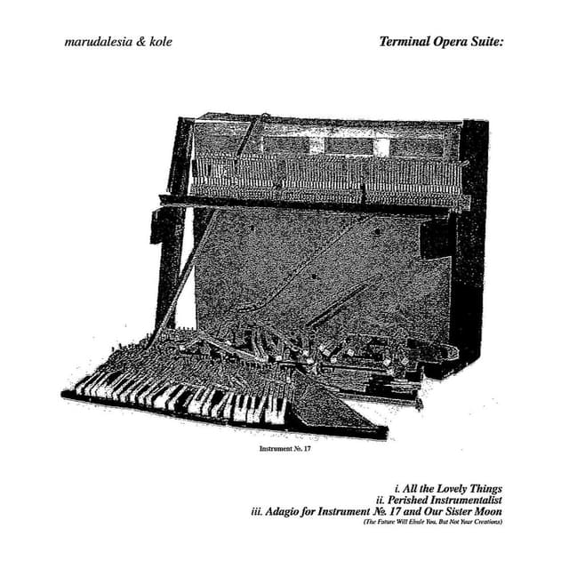 Terminal Opera Suite: All the Lovely Things / Perished Instrumentalist / Adagio for Instrument No. 17 and Our Sister Moon (The Fut