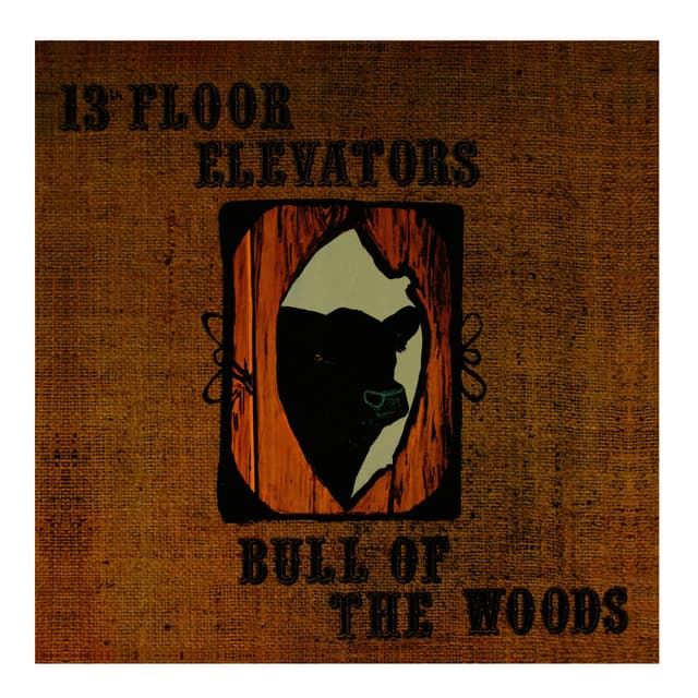 Bull of the Woods