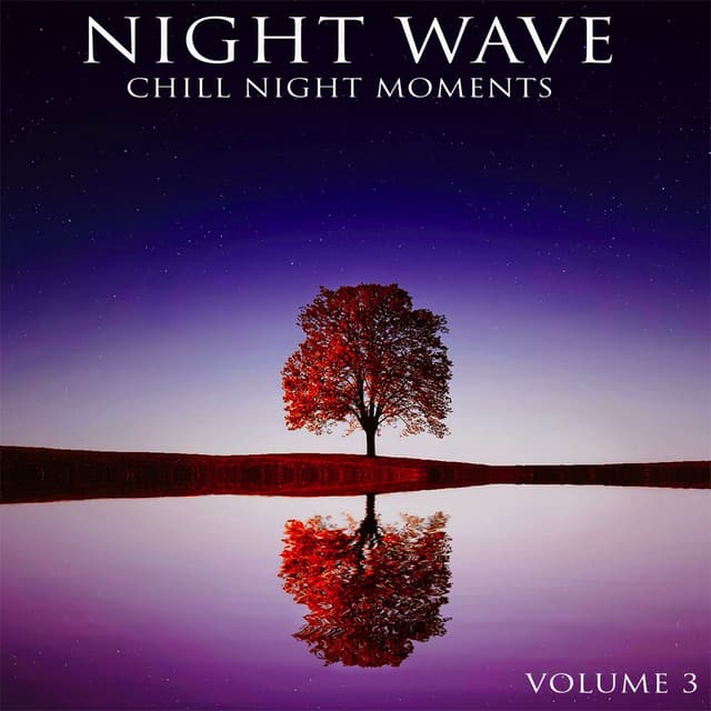 Night Wave, Vol. 3 - Chill Night Moments