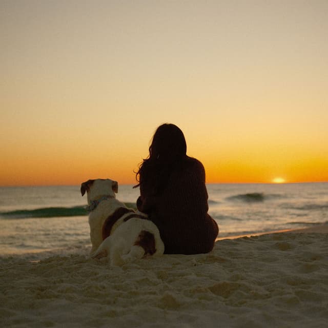 All Dogs Go To Heaven