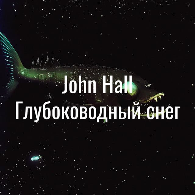 Глубоководный снег