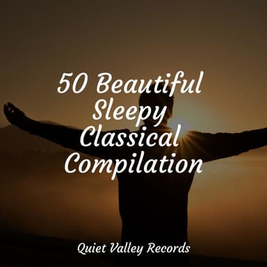50 Beautiful Sleepy Classical Compilation