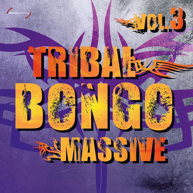 Tribal Bongo Massive, Vol. 3 (Album)