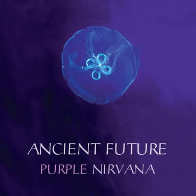 Purple Nirvana
