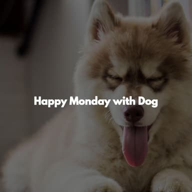 Happy Monday with Dog