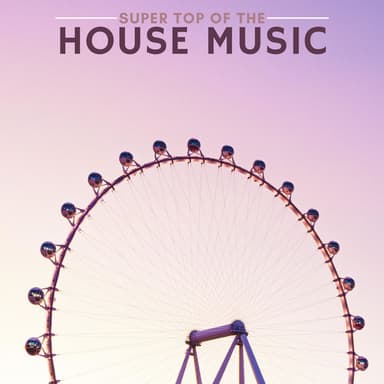 Super Top of the House Music (Compilation)