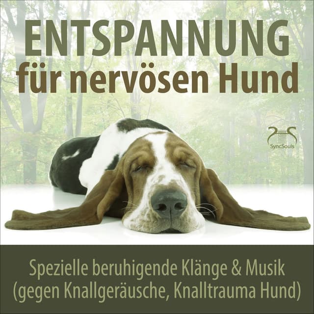 Entspannung für nervösen Hund: Spezielle beruhigende Klänge & Musik (gegen Knallgeräusche, Knalltrauma Hund)