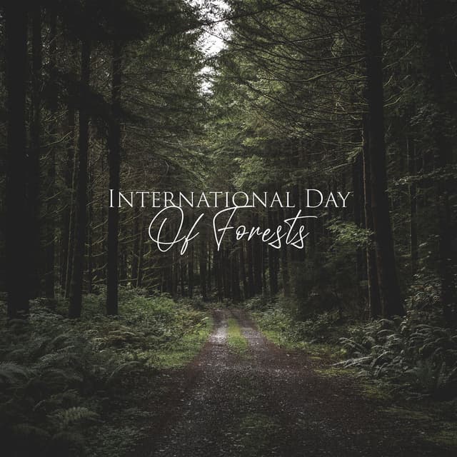 International Day Of Forests