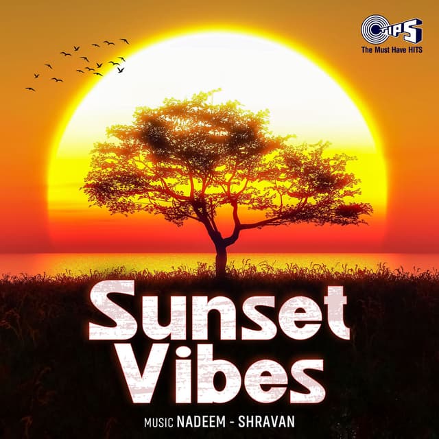 Sunset Vibes