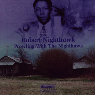 Prowling With The Nighthawk