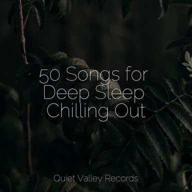50 Songs for Deep Sleep Chilling Out