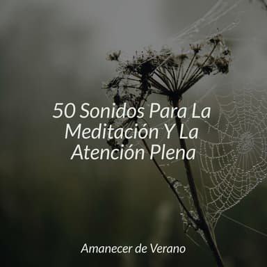 50 Sonidos Para La Meditación Y La Atención Plena
