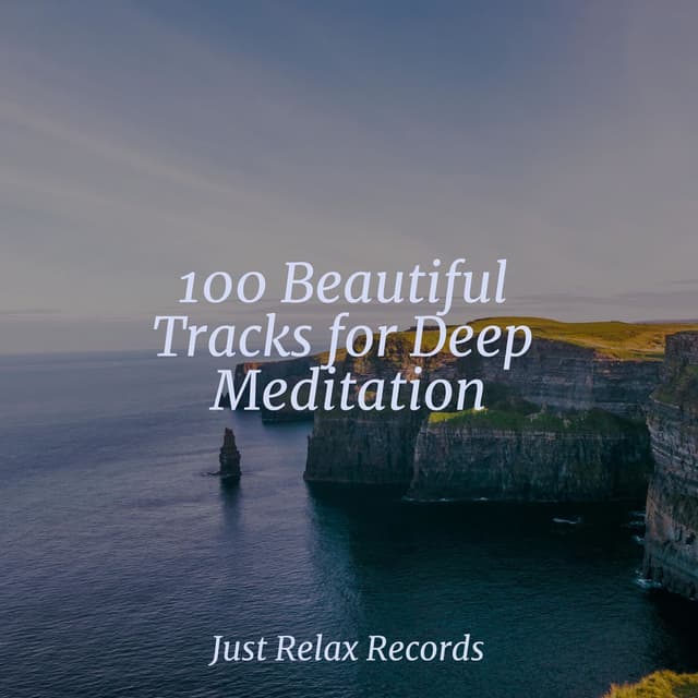 100 Beautiful Tracks for Deep Meditation
