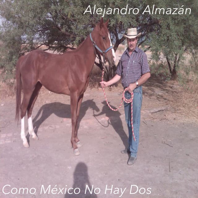 Cómo México No Hay Dos