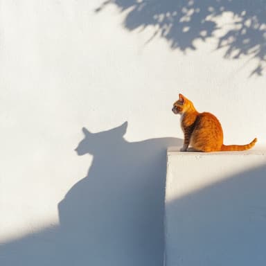 猫の夢世界:ブラウンノイズの静けさ