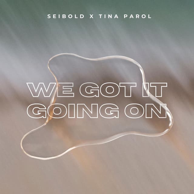 We Got It Going On