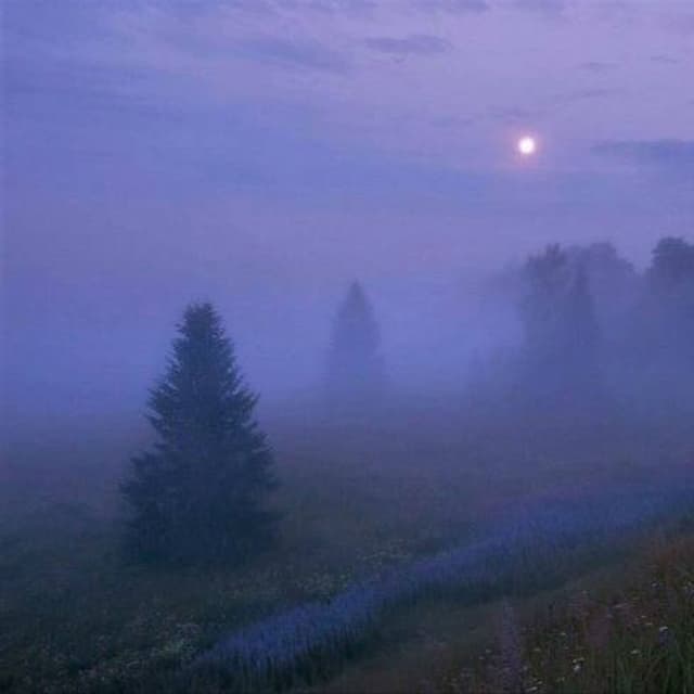 silent village