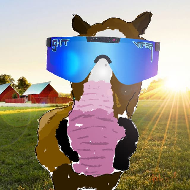 PEMDAS (Please Excuse My Dope Ass Stallion)