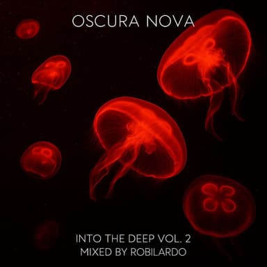 Into The Deep, Vol. 2 (Mixed by Robilardo)