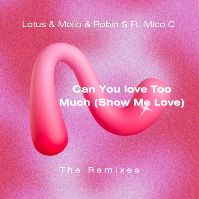 Can You Love Too Much (Show Me Love) (The Remixes)