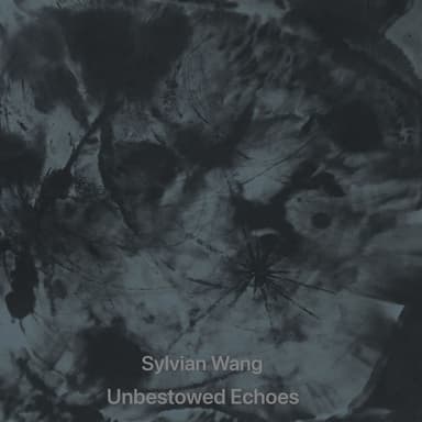 Unbestowed Echoes (弃响)