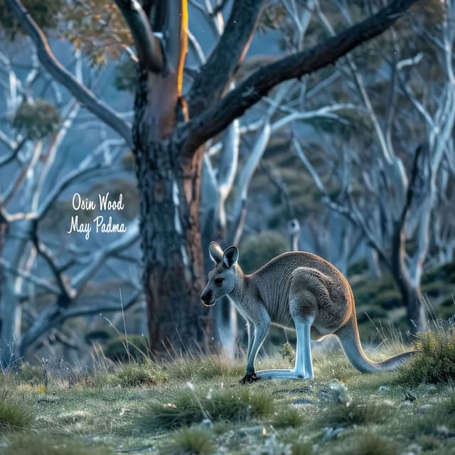 Spirit of the Bushland