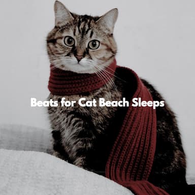 Beats for Cat Beach Sleeps