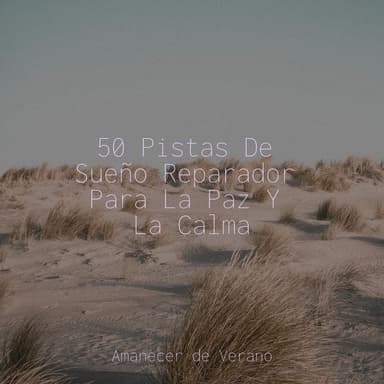 50 Pistas De Sueño Reparador Para La Paz Y La Calma