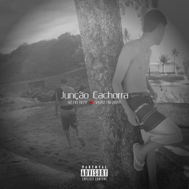 Junção Cachorra