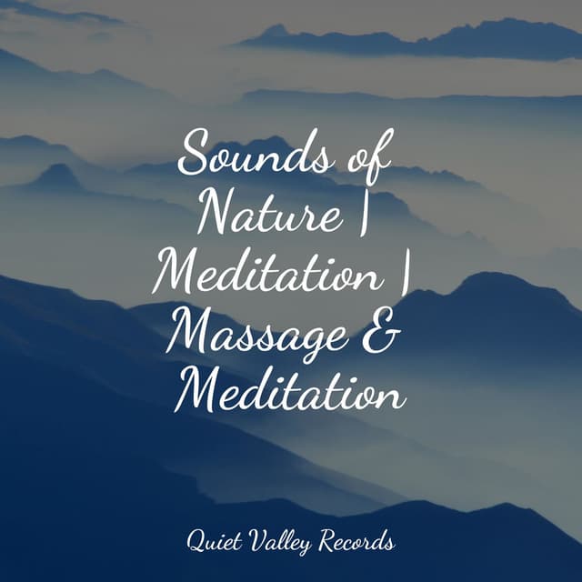 Sounds of Nature | Meditation | Massage & Meditation
