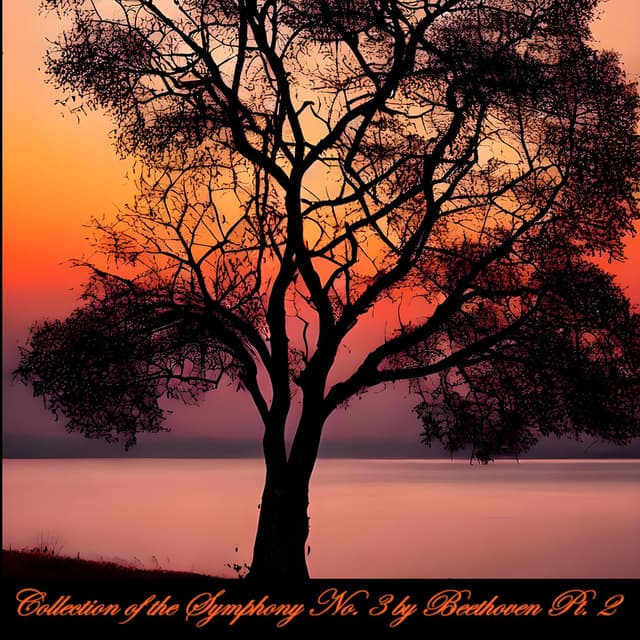 Collection of the Symphony No. 3 by Beethoven, pt. 2