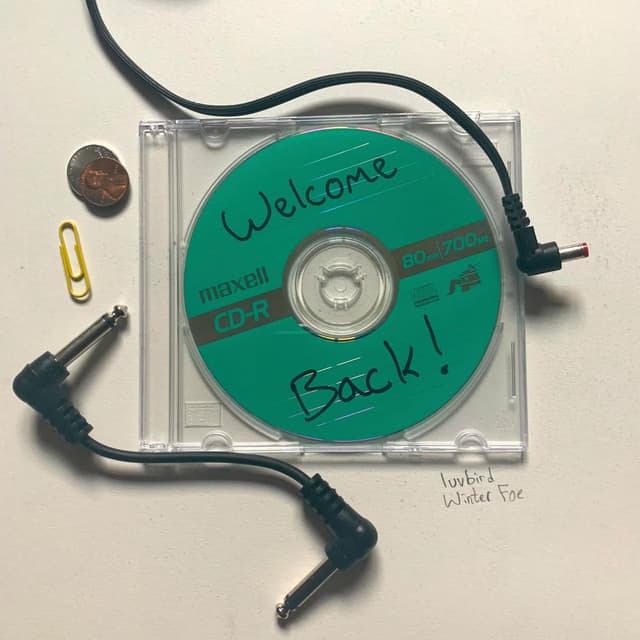 Welcome Back! (feat. Luvbird)