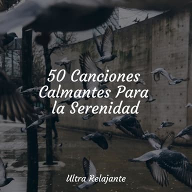 50 Canciones Calmantes Para la Serenidad