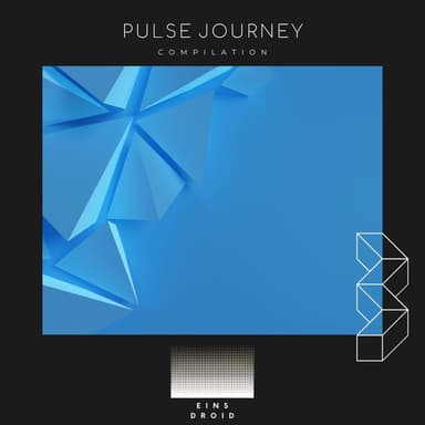 Pulse Journey